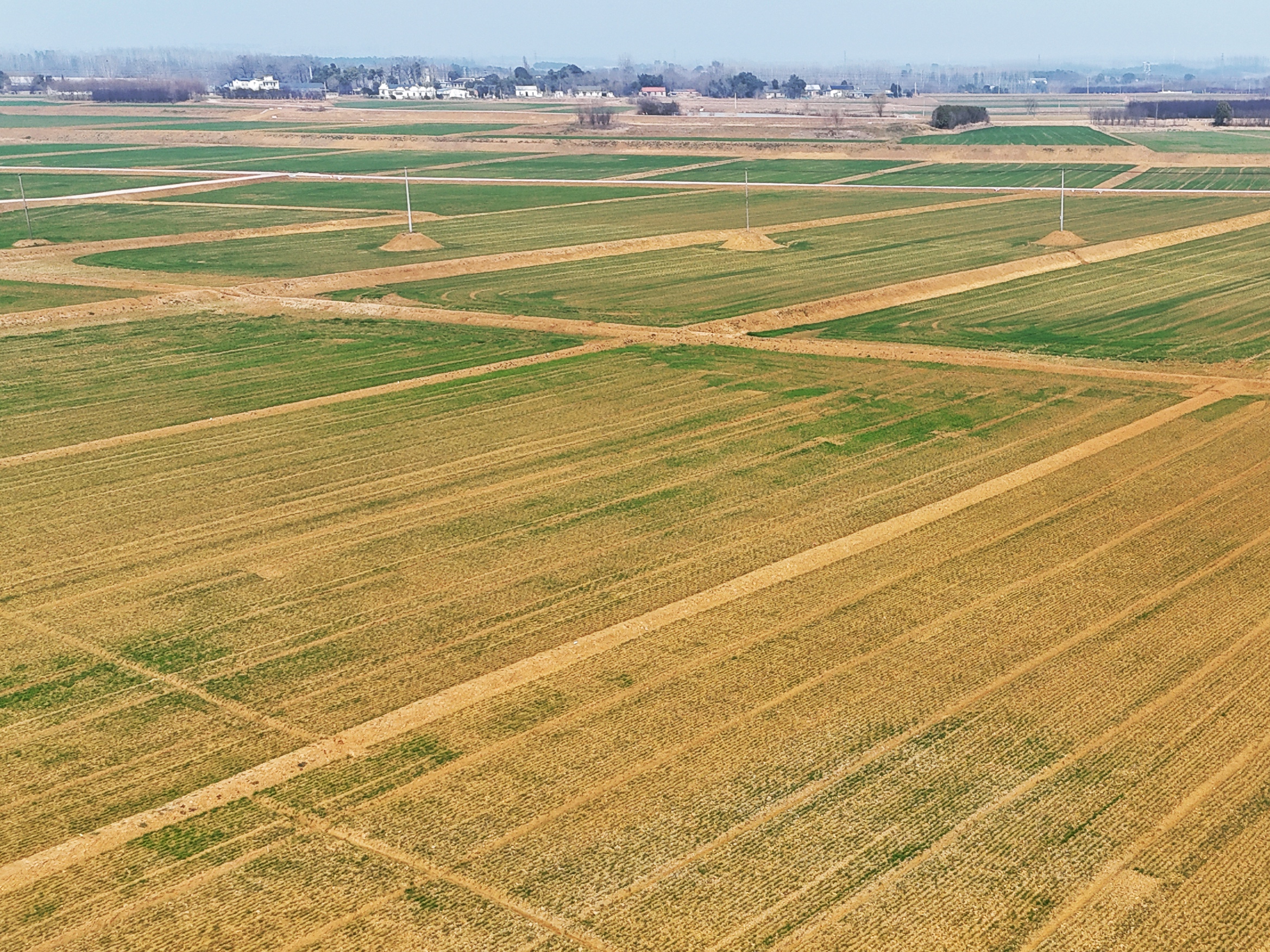 MG游戏官网·(中国区)有限公司