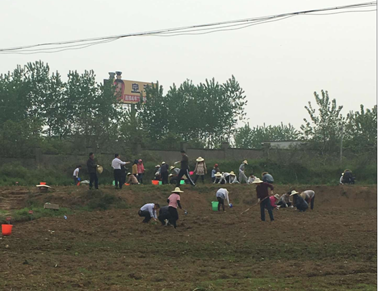 MG游戏官网·(中国区)有限公司