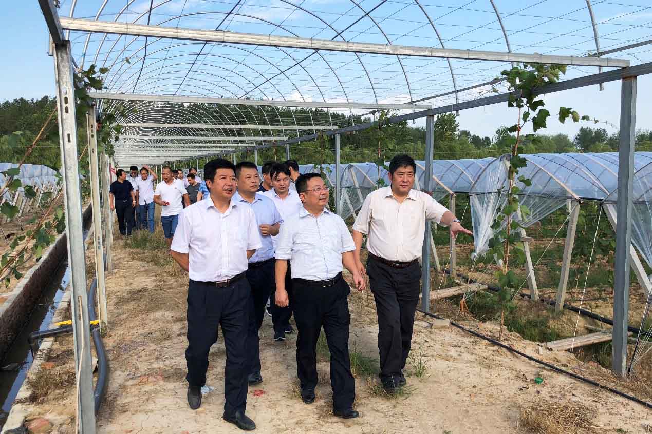 MG游戏官网·(中国区)有限公司