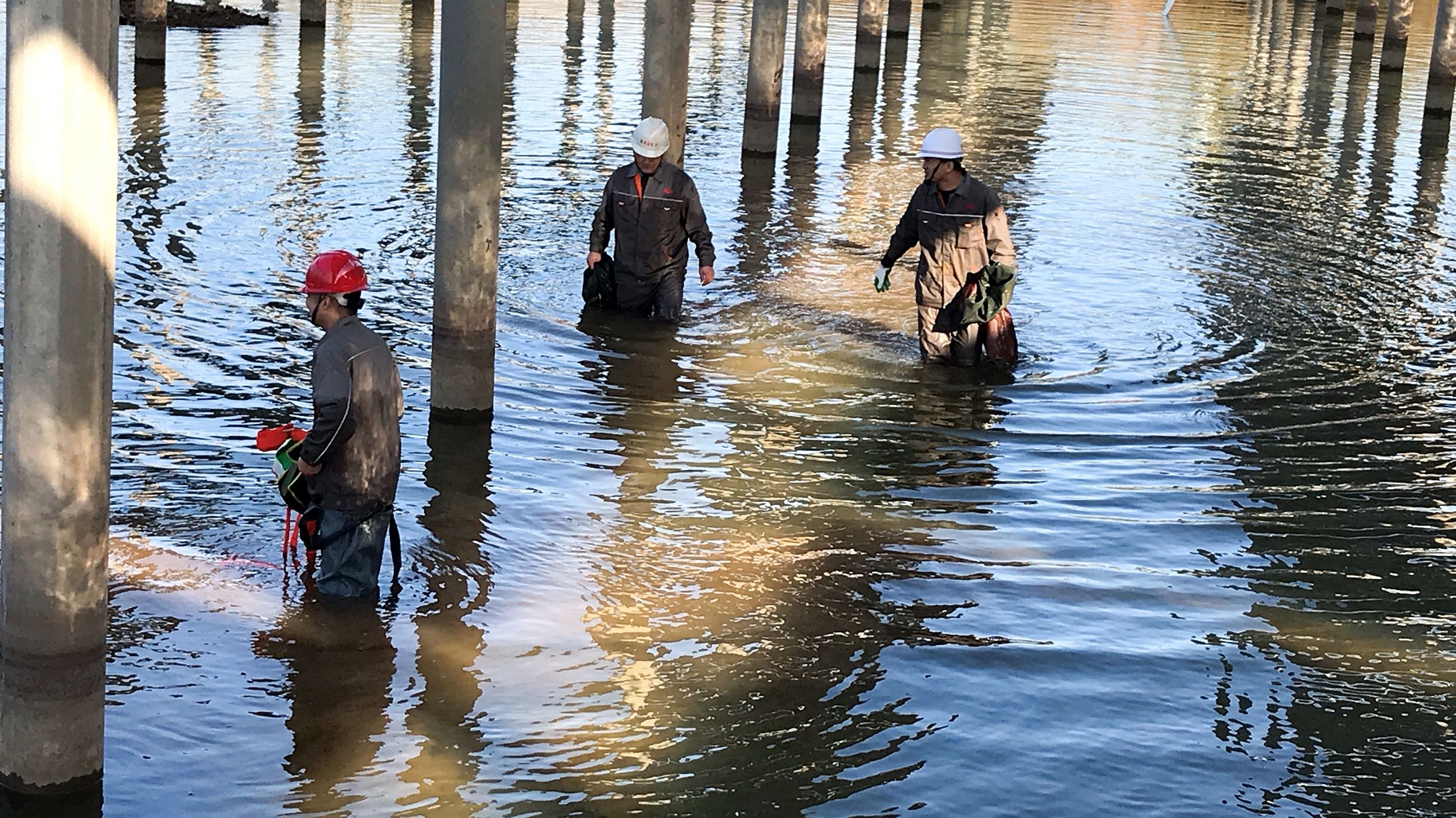 MG游戏官网·(中国区)有限公司