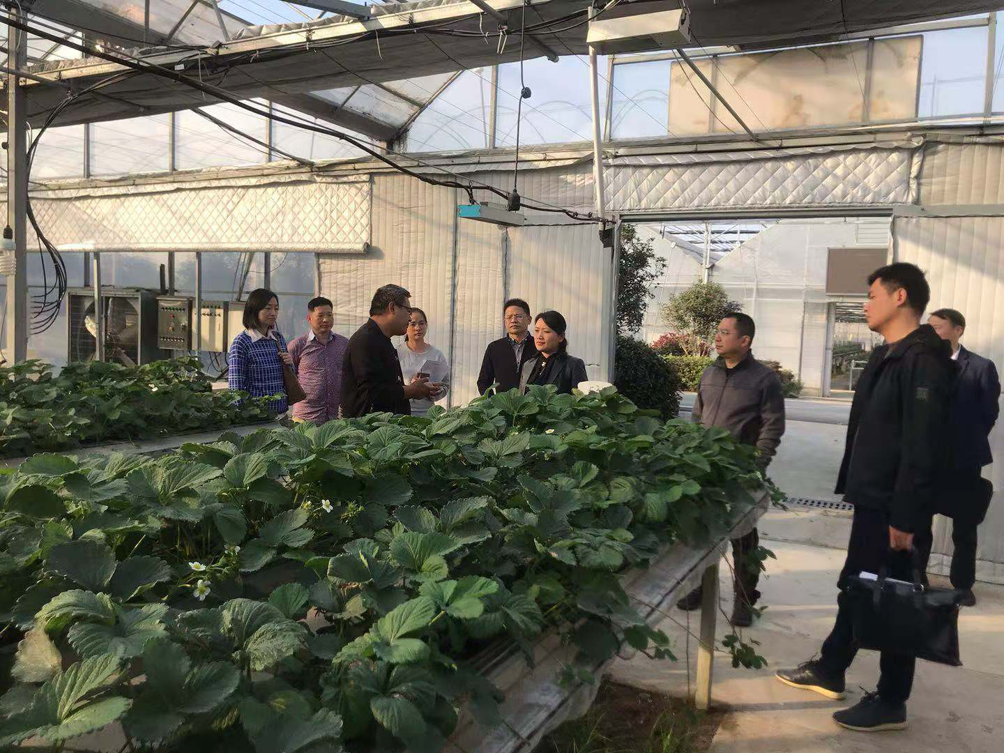 MG游戏官网·(中国区)有限公司