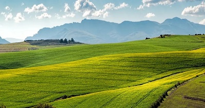 MG游戏官网·(中国区)有限公司